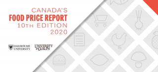 food report cover
