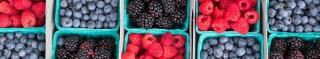 berries produce speaker Oppenheimer MFRE
