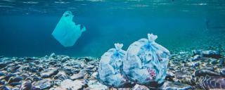 plastic pollution image 